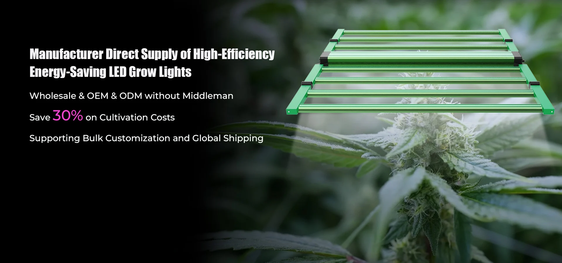LED grow lights