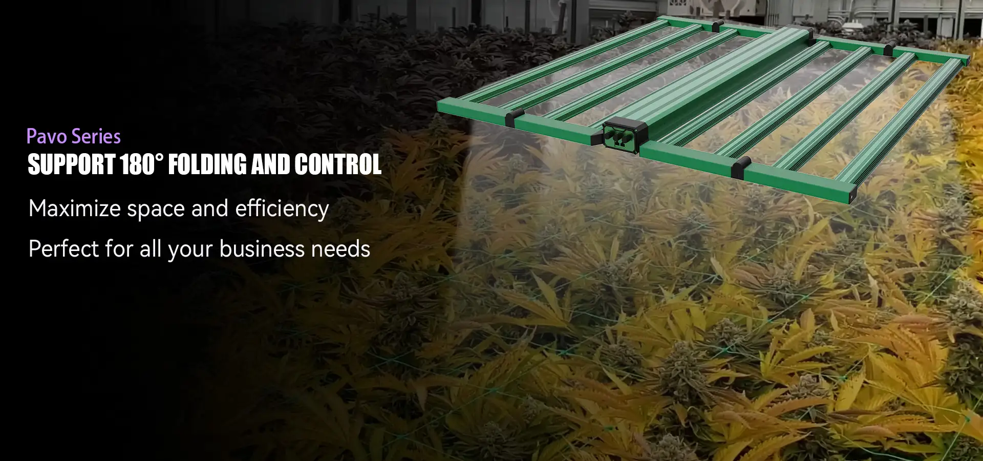 Manufacturer Direct Supply of Energy-Saving LED Grow Lights