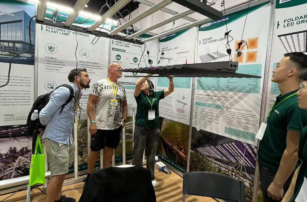 Detailed technical demonstration of Spider LED Grow Light and 120W Undercanopy Light for professional growers.