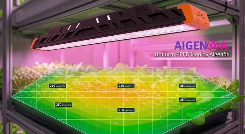 Edge-to-Edge PPFD Uniformity