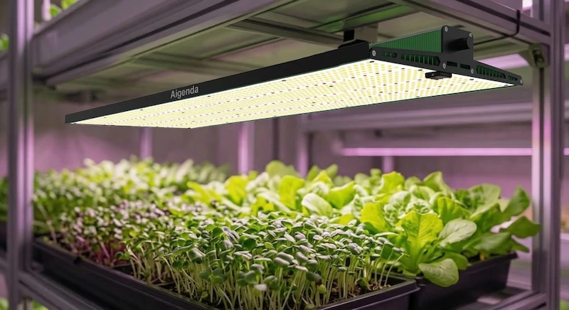 Ultra-Slim LED for Vertical Farming Racks